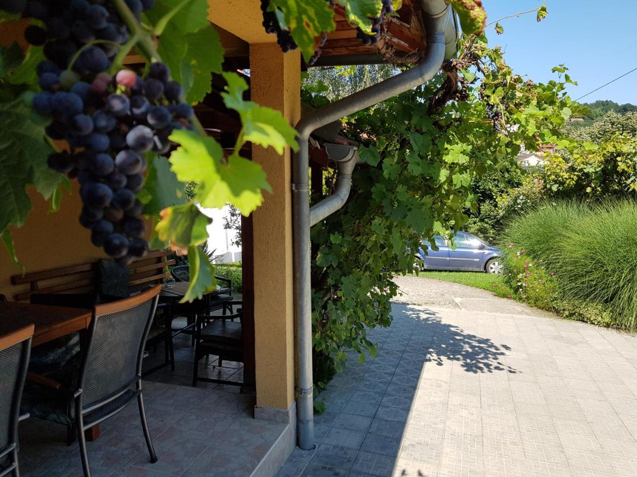 Apartment Holiday Vrnjacka Banja Exterior photo